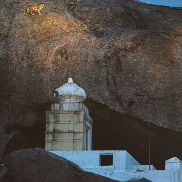 Devagiri Temple Jawai