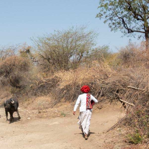 Rabari Village Jawai